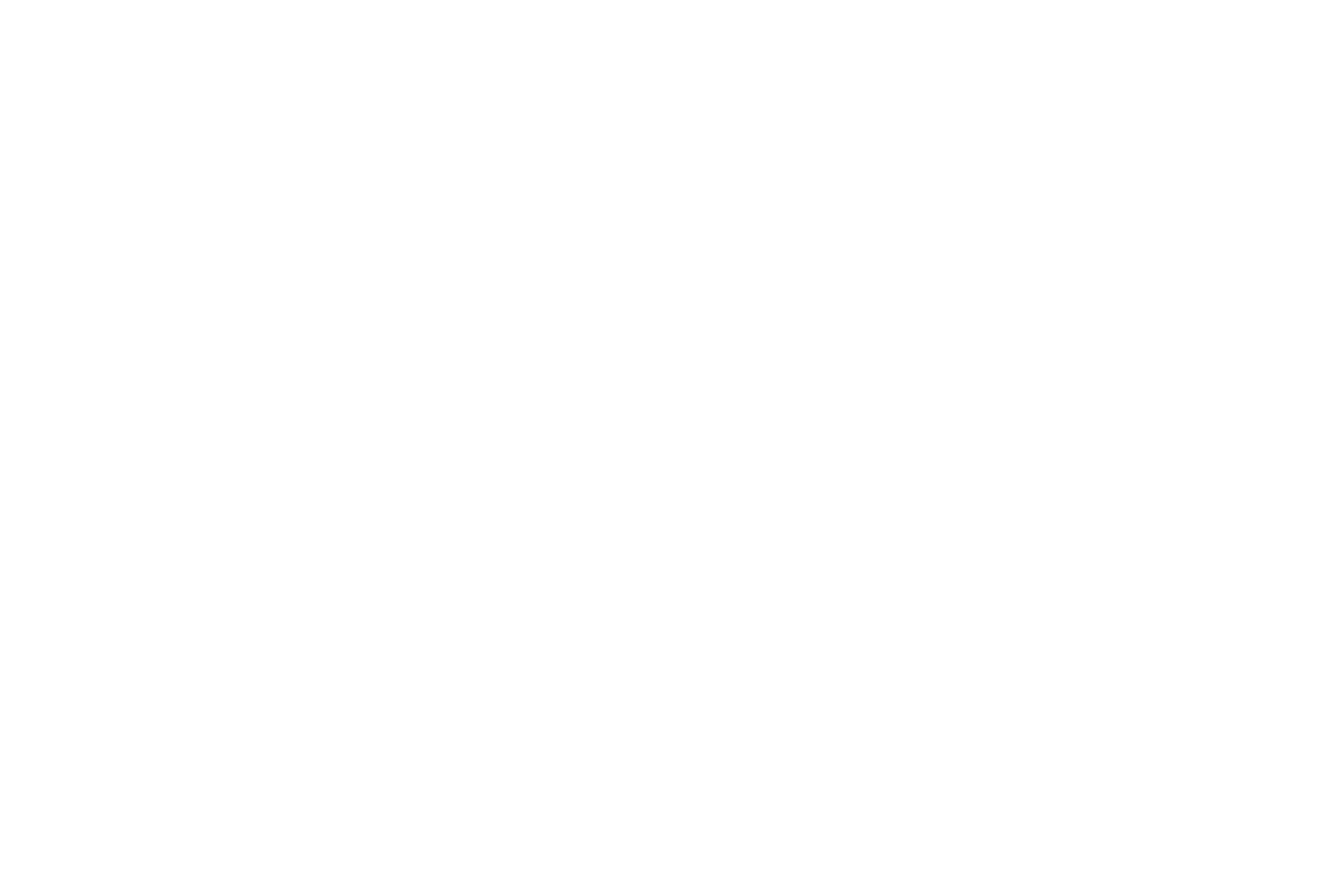 Affordable Lifts